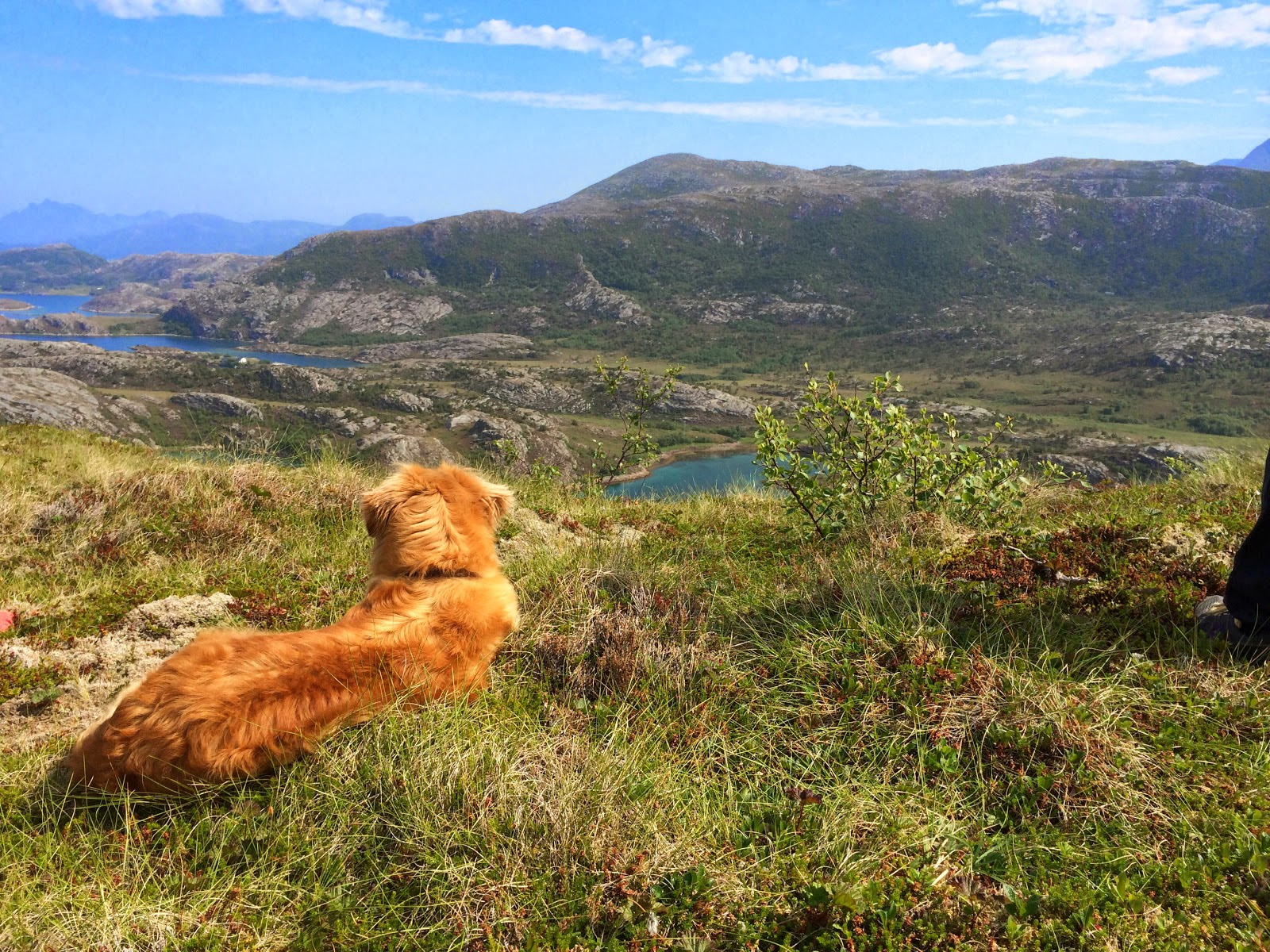 wonderful view from Luroy Mountain